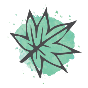 Dark green leaf