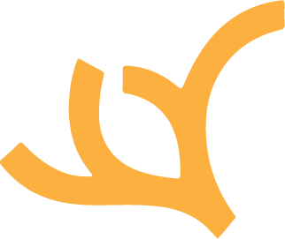 branch 4